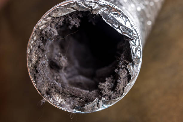 Best Air Duct Sanitizing Services  in Laguna Woods, CA
